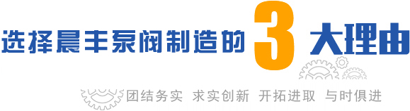 靖江市晨丰泵阀制造有限公司